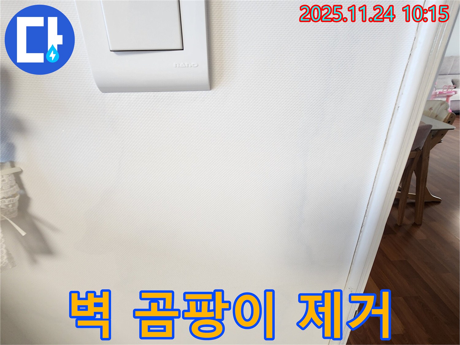 벽 곰팡이 제거 - 곰팡이 OUT
