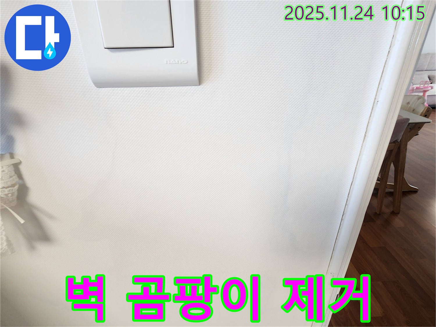 벽 곰팡이 제거 - 곰팡이 제거