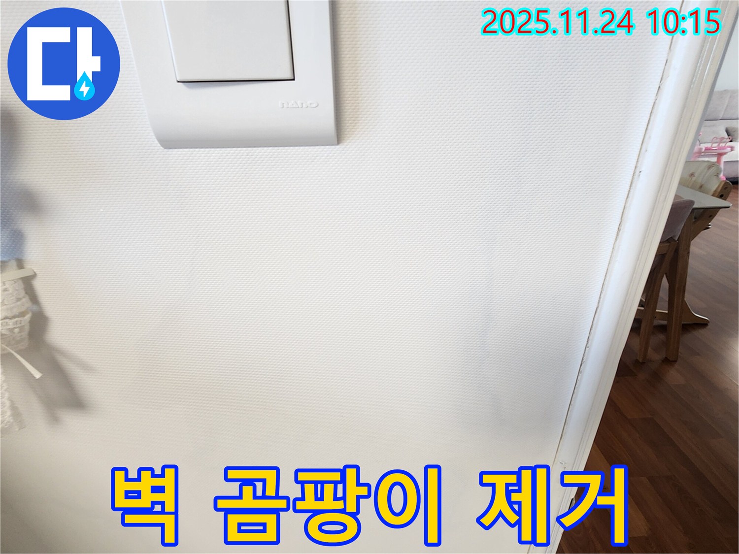 벽 곰팡이 제거 - 완벽 제거