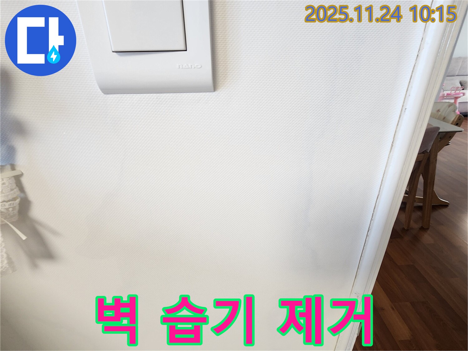 벽 습기 제거 - 건강한 집