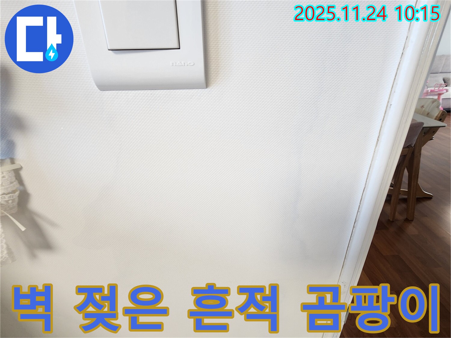 벽 젖은 흔적 - 곰팡이