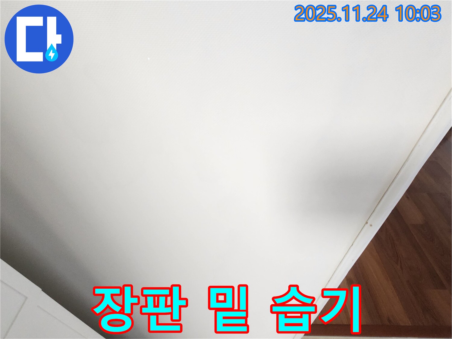 장판 밑 습기 - 누수 가능성을 확인합니다.