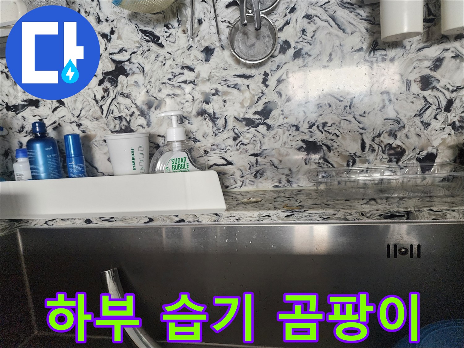 싱크대 하부 습기 및 곰팡이 - 분당구 대장동 주택에서 발생한 문제 해결