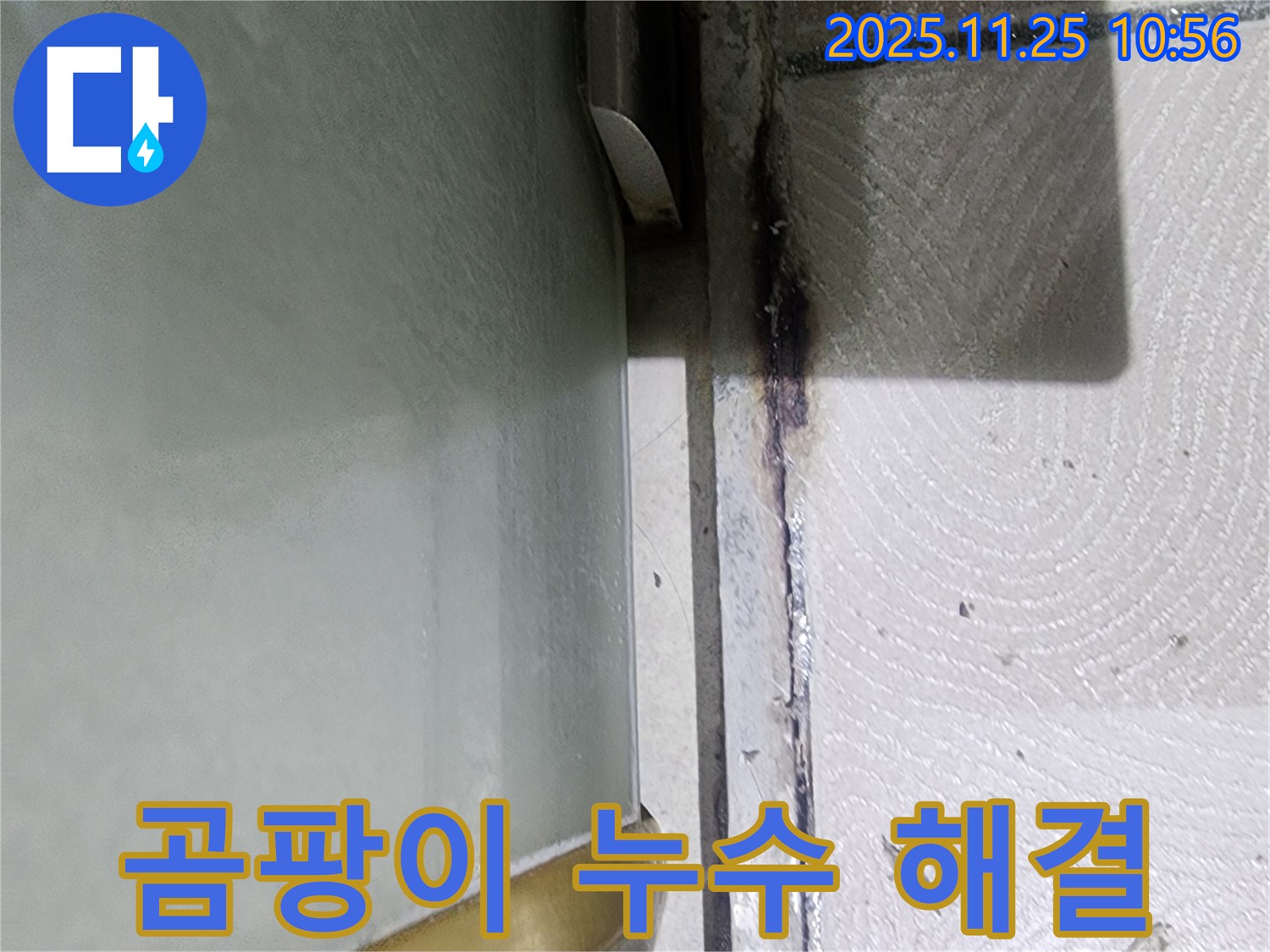 곰팡이 누수 해결 - 쾌적한 욕실 환경 만들기