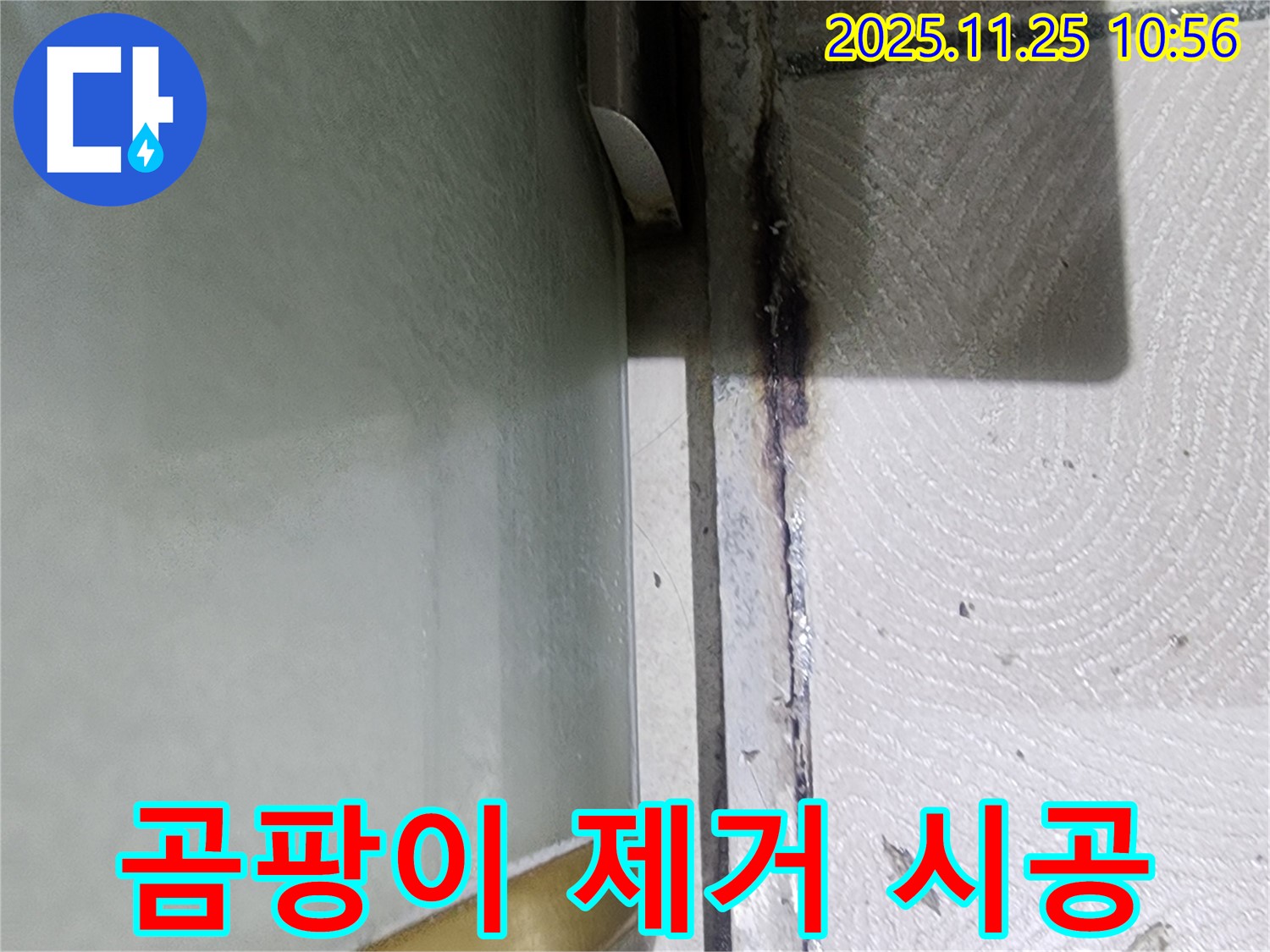샤워부스 곰팡이 제거 - 실리콘 시공으로 누수 해결