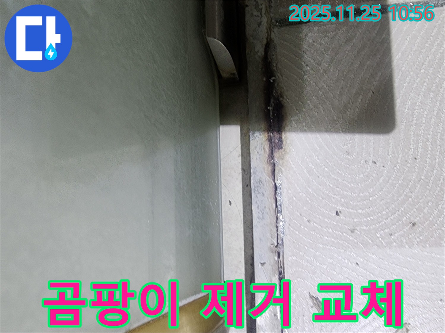 샤워부스 누수 - 곰팡이 제거 및 실리콘 교체 시공