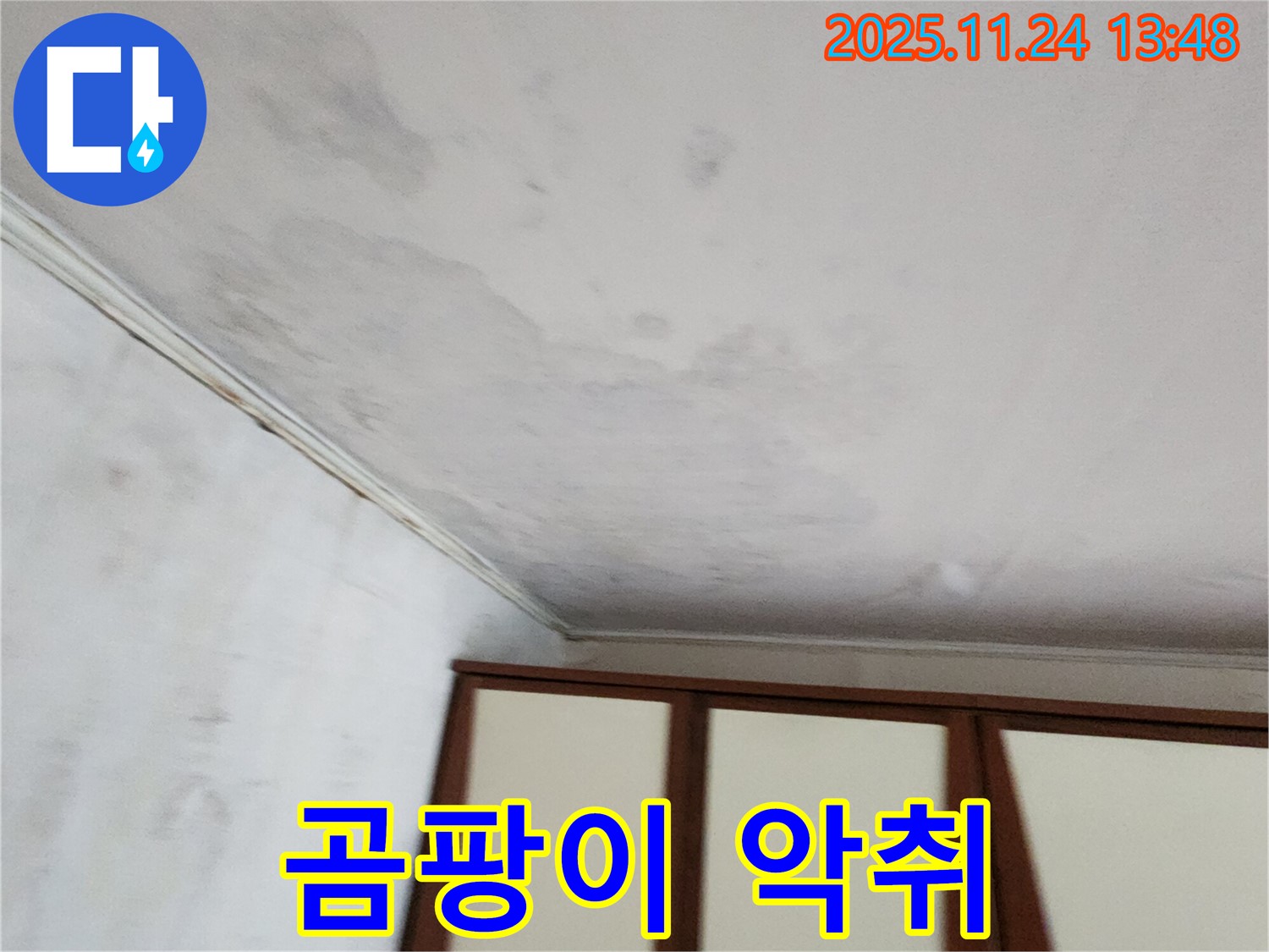 가산면 마전리 주택 - 곰팡이 핀 천장, 악취 진동