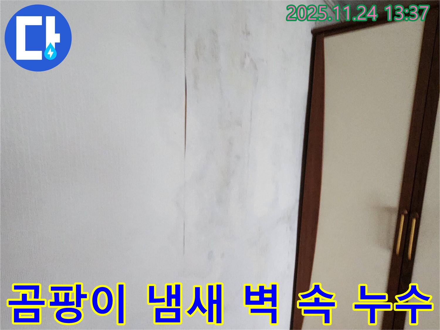 곰팡이 냄새 - 벽 속 누수 의심