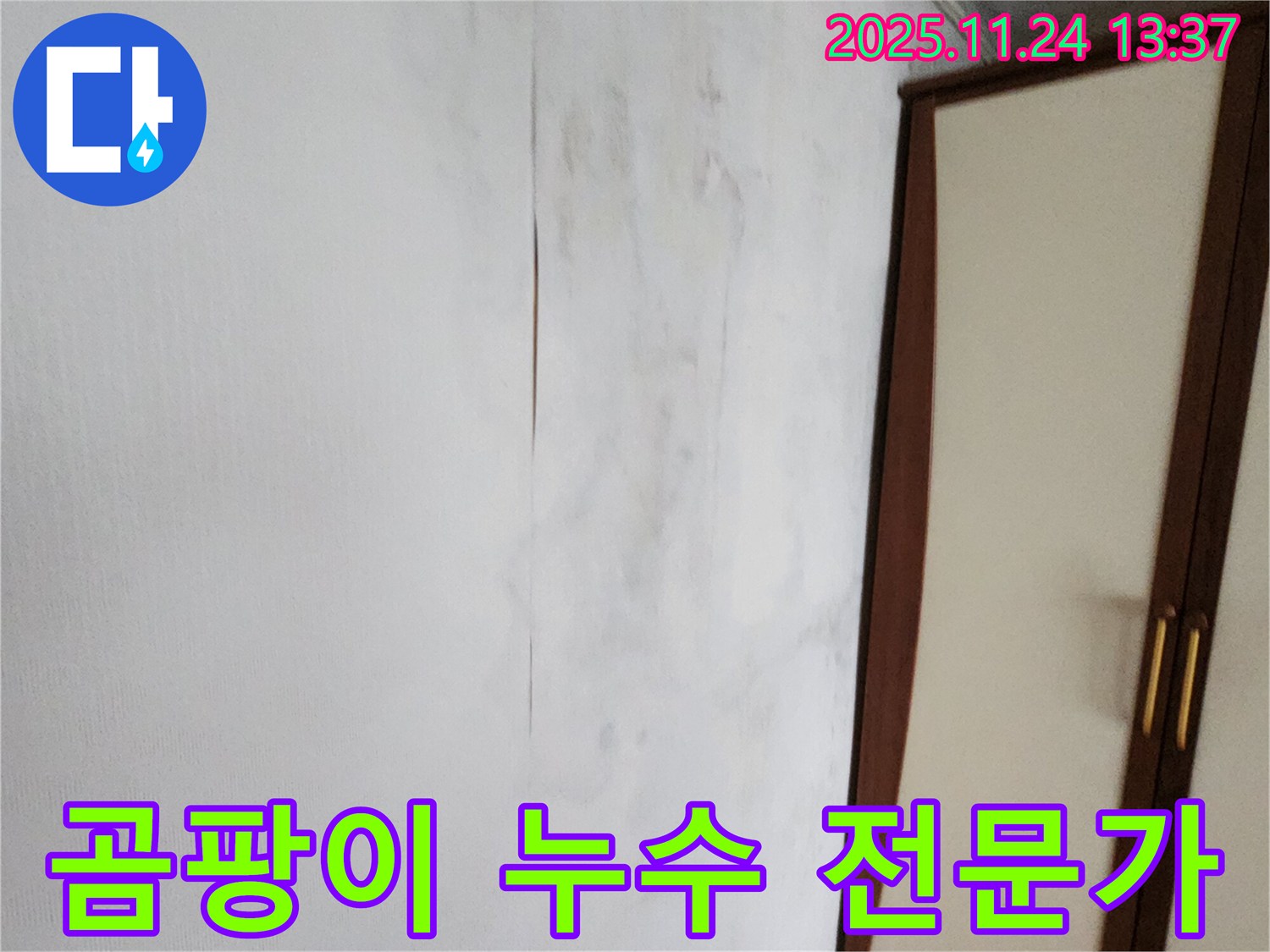 곰팡이 - 누수 - 전문가에게 맡기세요