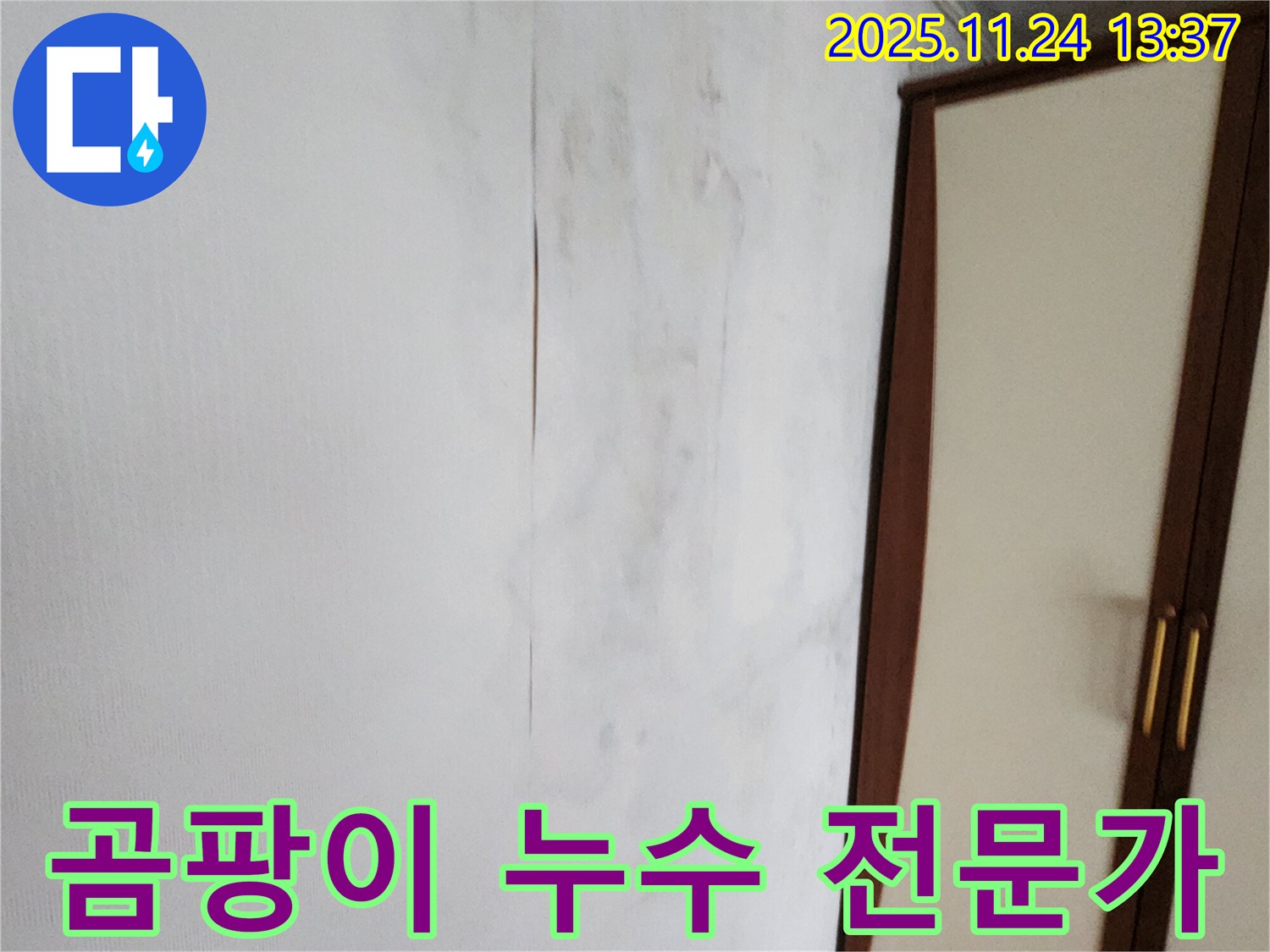 곰팡이 - 누수 - 전문가에게 맡기세요