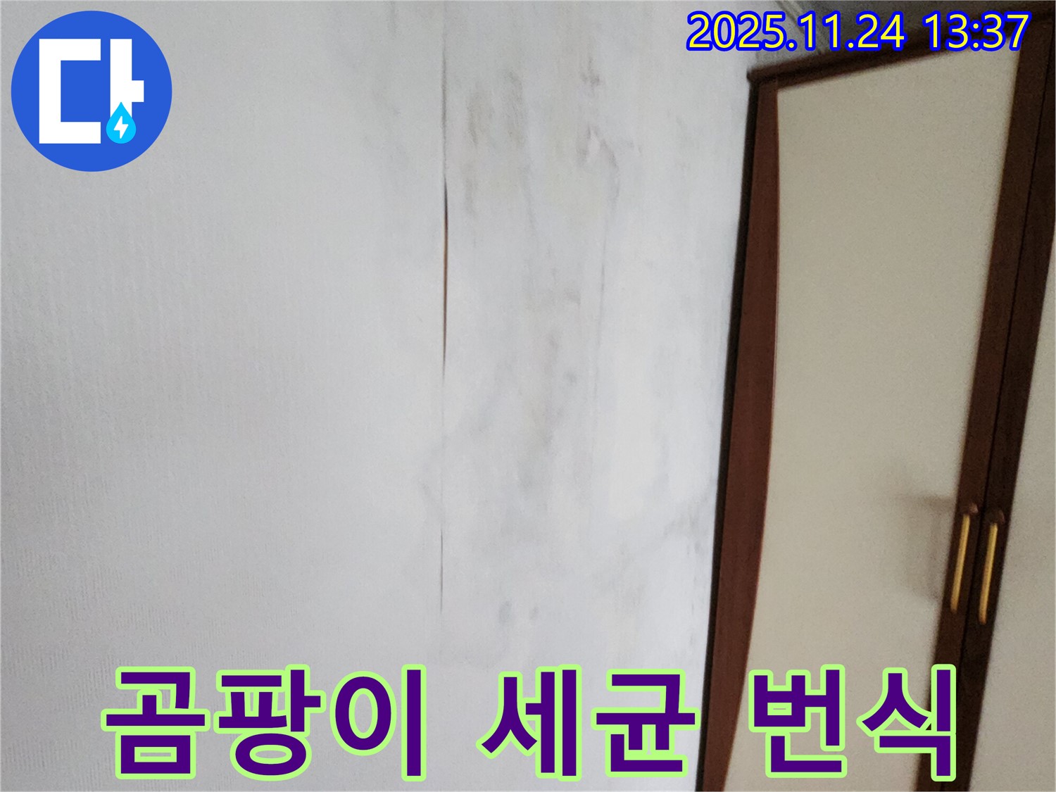 곰팡이 - 세균 번식 온상 - 가족 건강 적신호