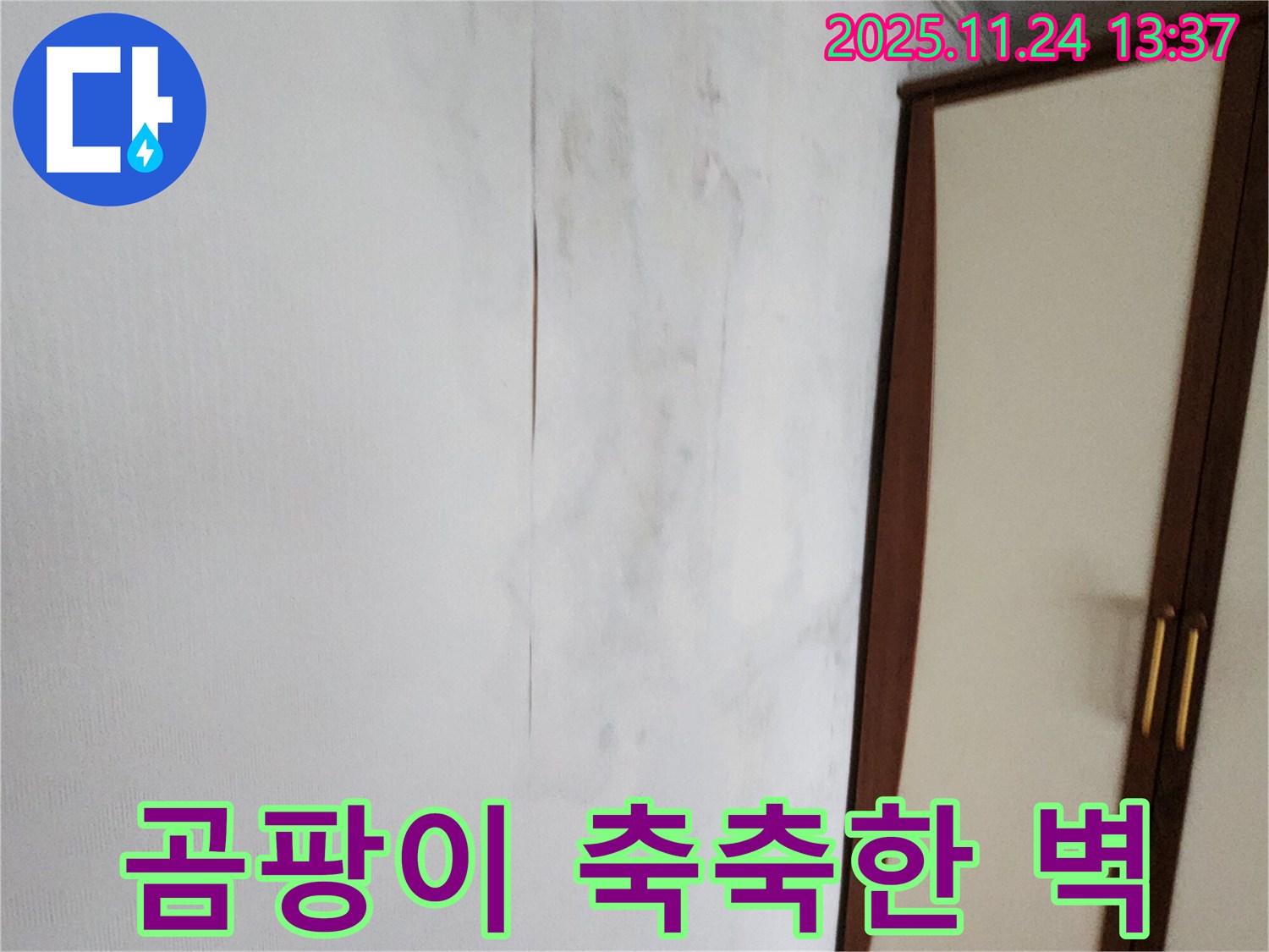 곰팡이 슬어 축축한 벽 - 누수 해결이 우선