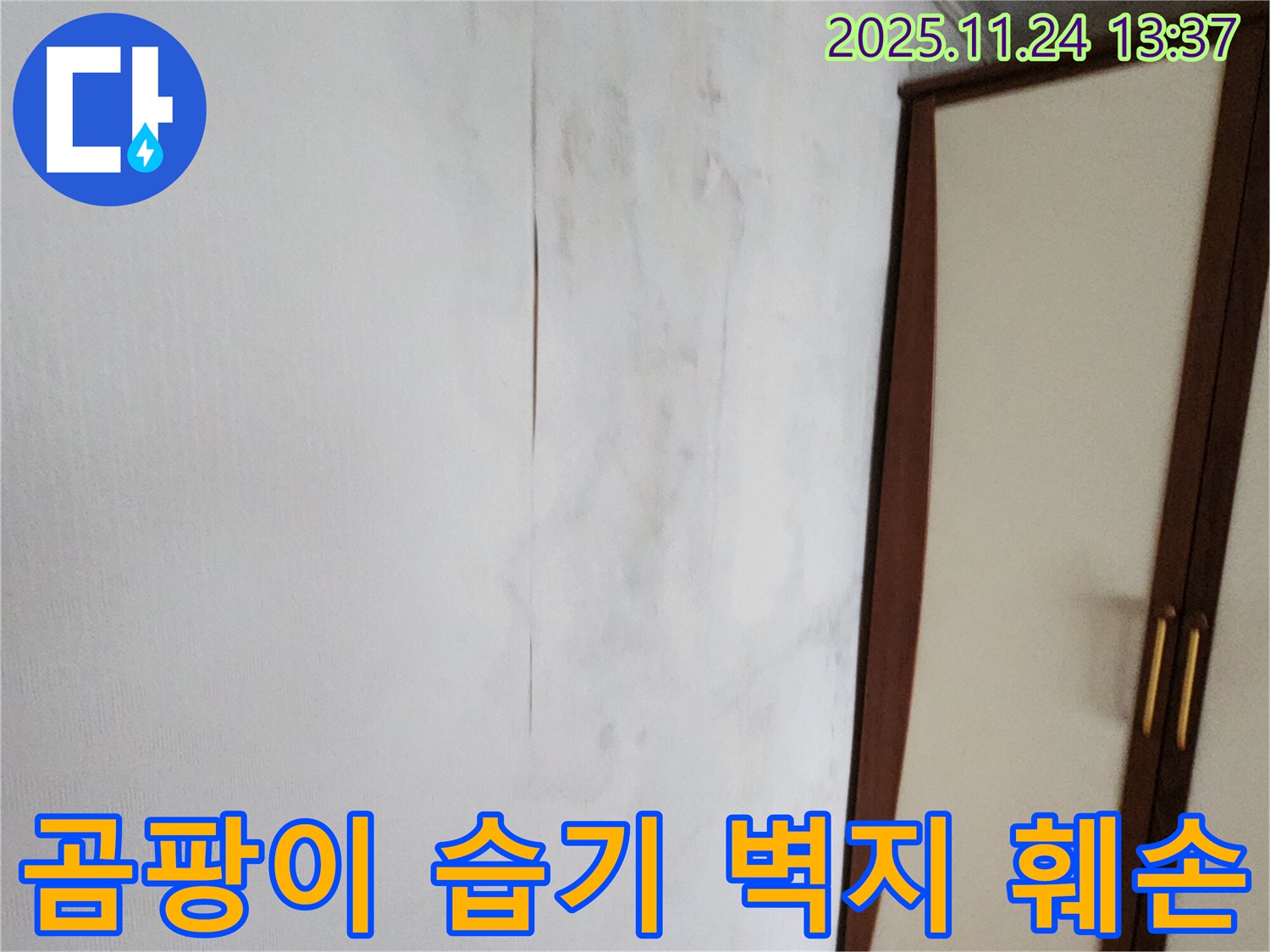 곰팡이 - 습기 - 벽지 훼손 - 누수 3종 세트