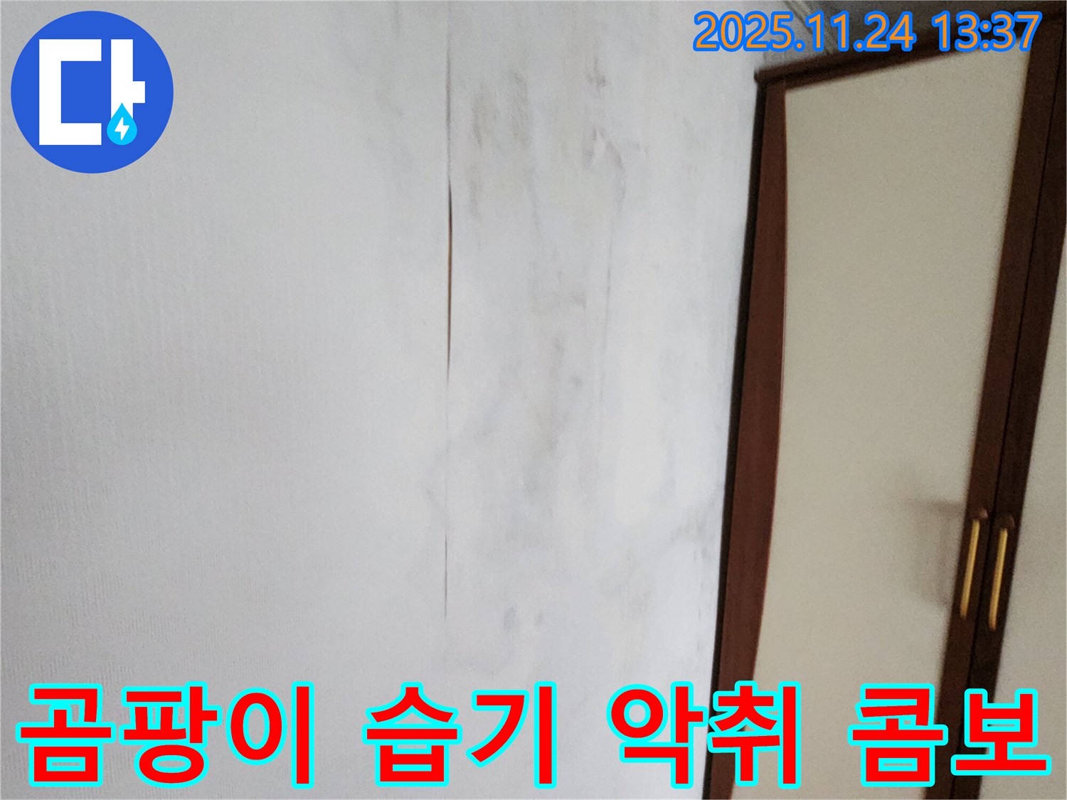 곰팡이 - 습기 - 악취 - 누수 3박자 콤보