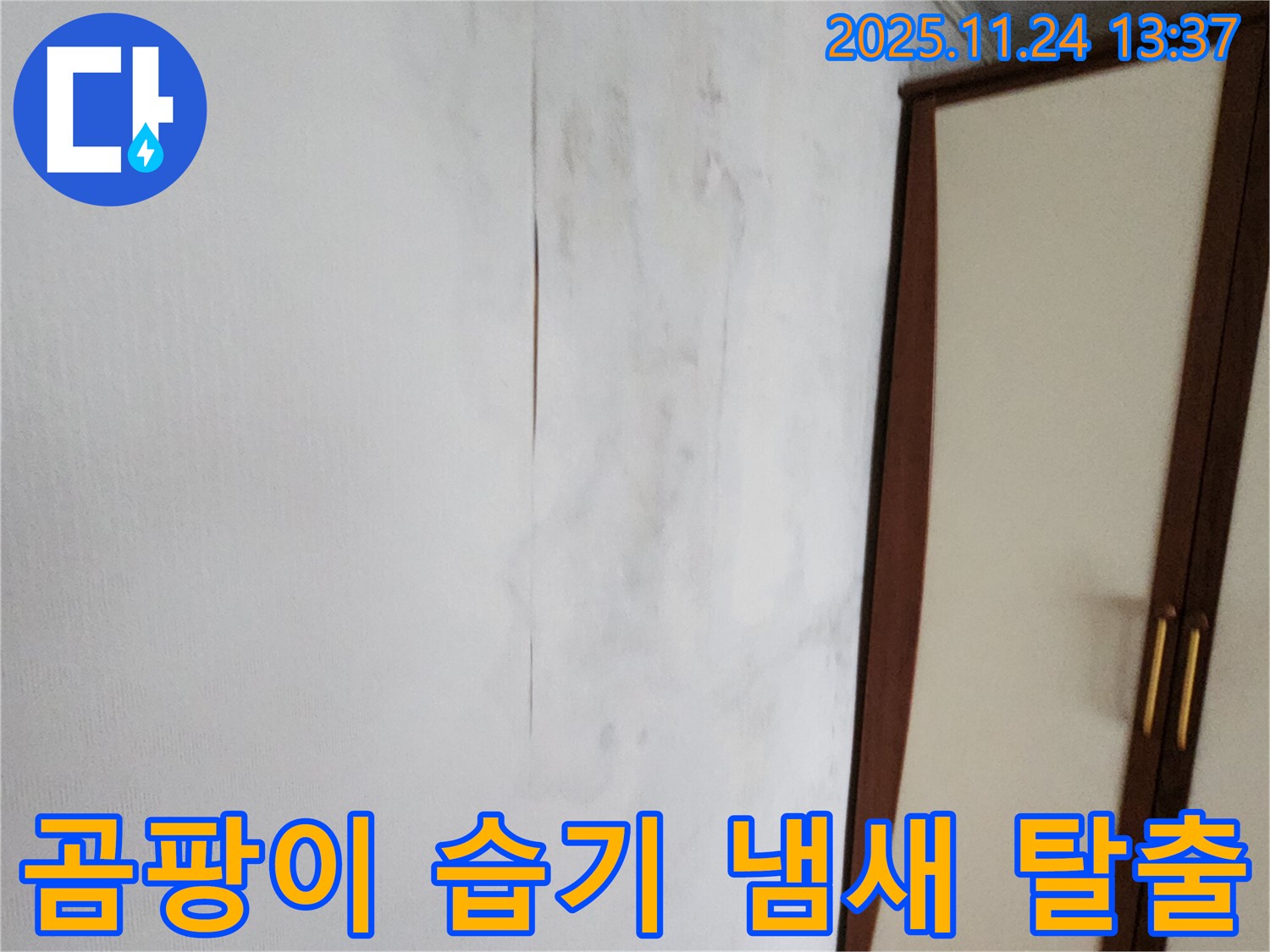곰팡이 - 습기 - 퀴퀴한 냄새 - 3중고 탈출