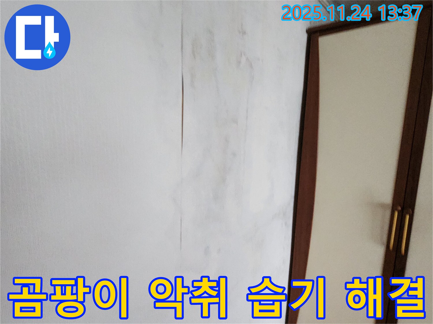 곰팡이 - 악취 - 습기 - 3박자 고통 해결