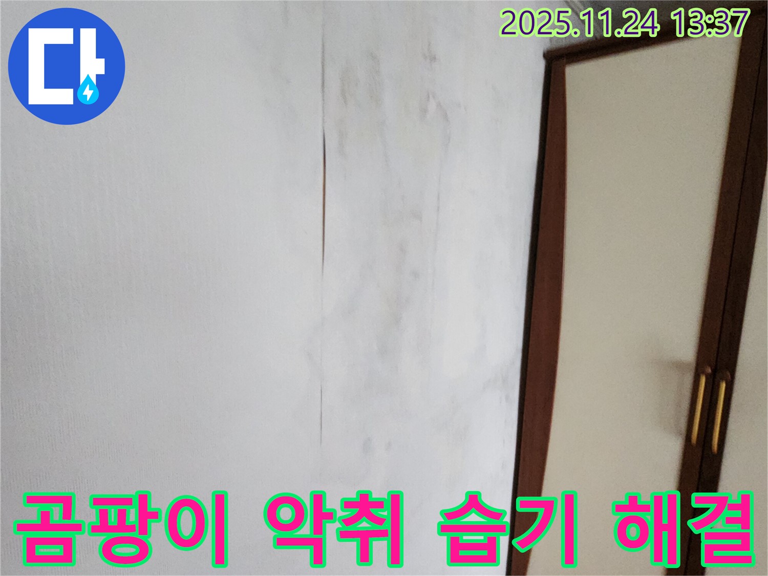 곰팡이 - 악취 - 습기 - 쾌적한 공간
