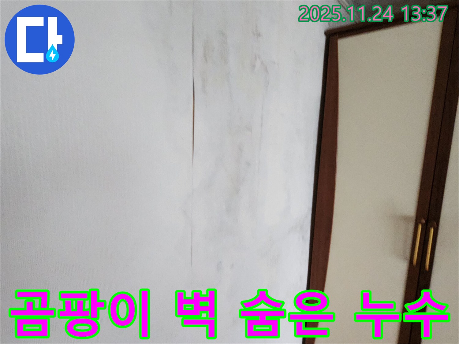 곰팡이 핀 벽 뒤 - 숨겨진 누수