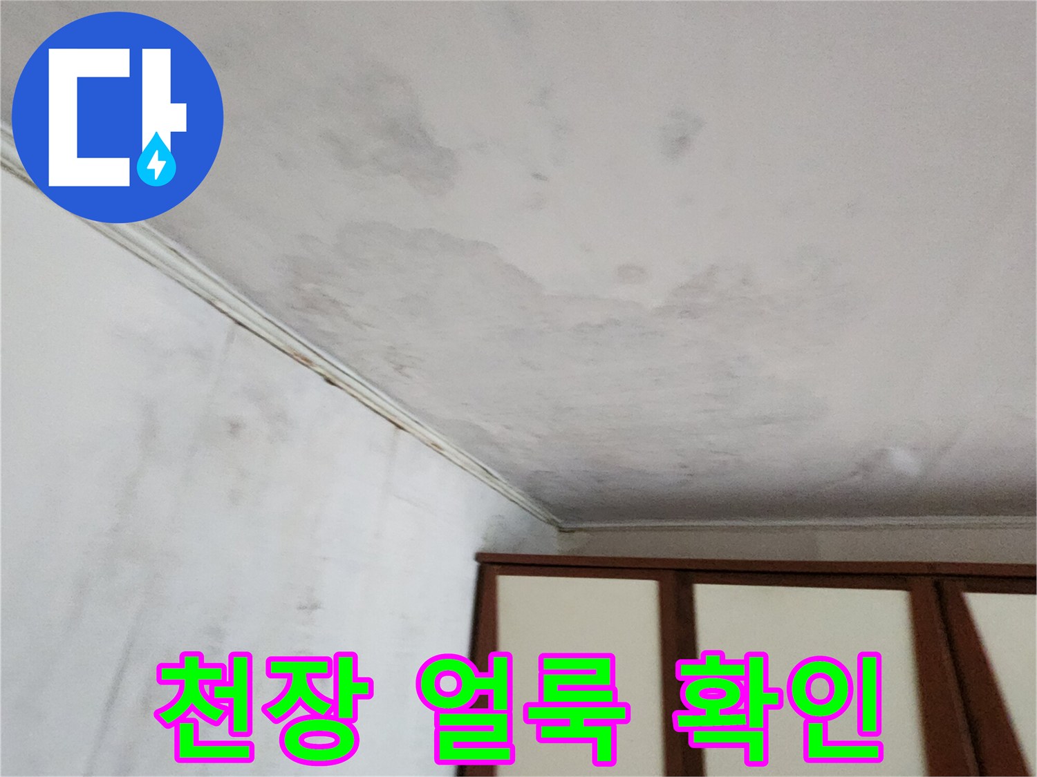 넓게-퍼진-천장-누수-및-변색-흔적