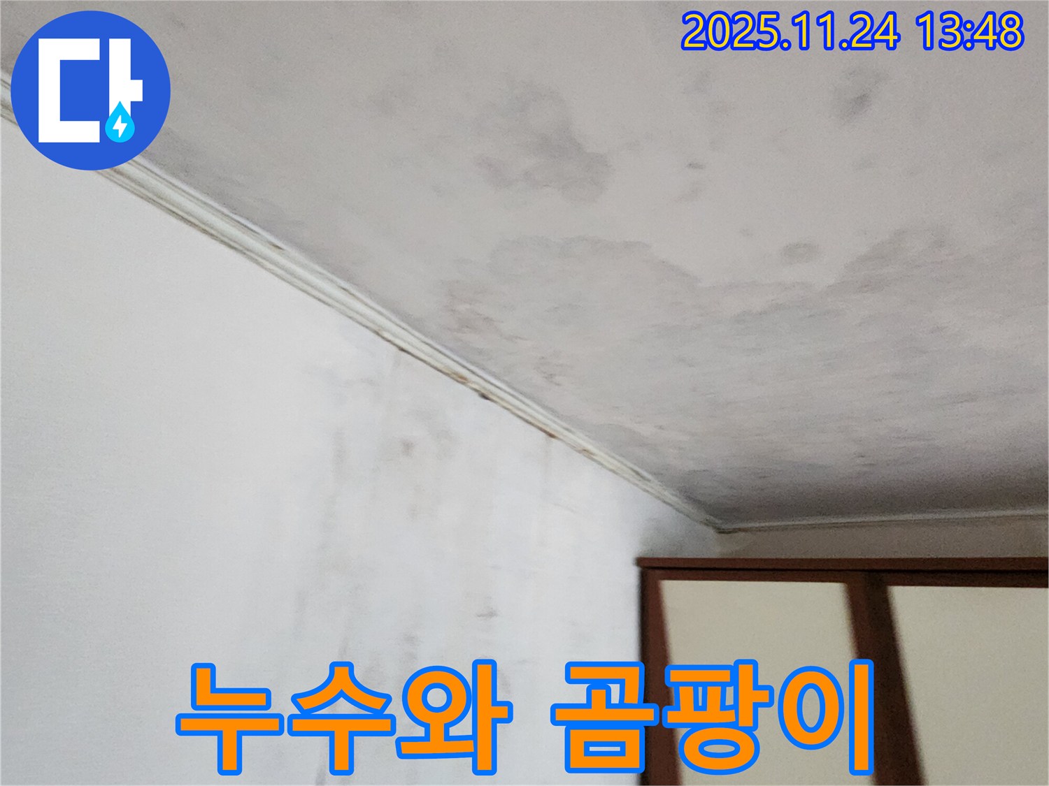 누수와 곰팡이 - 건강 위협 - 즉시 해결
