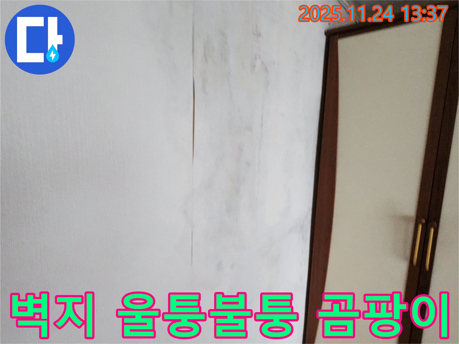벽지 울퉁불퉁 - 곰팡이 - 누수 긴급 점검