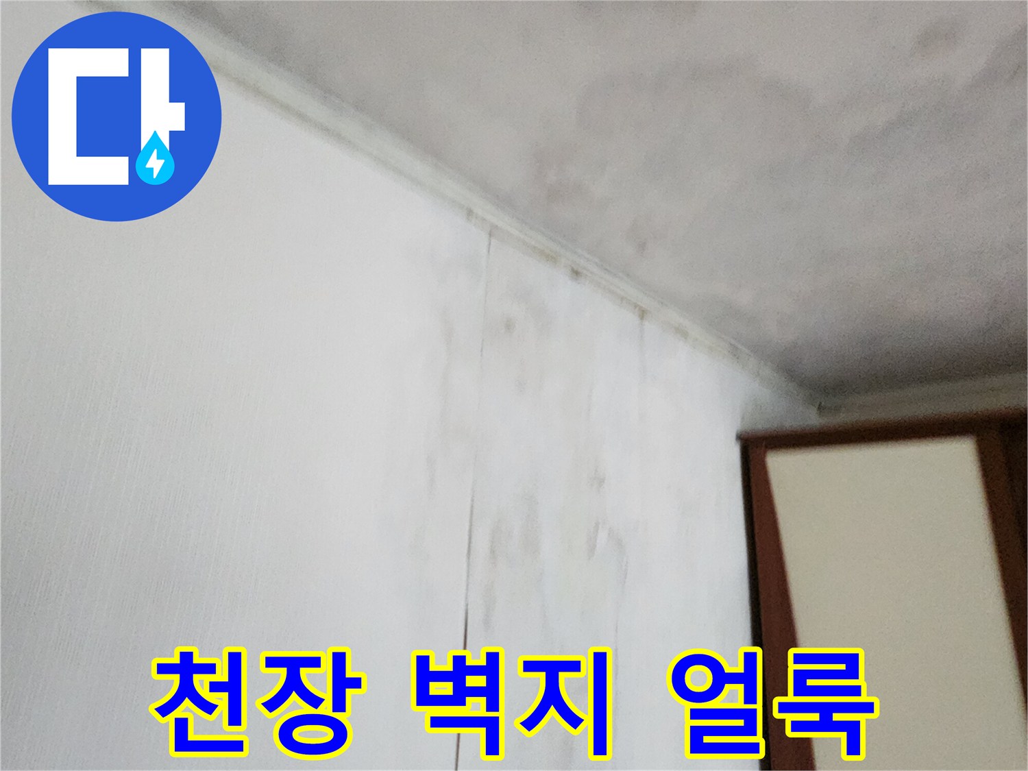 천장 구석의 곰팡이와 물자국 흔적