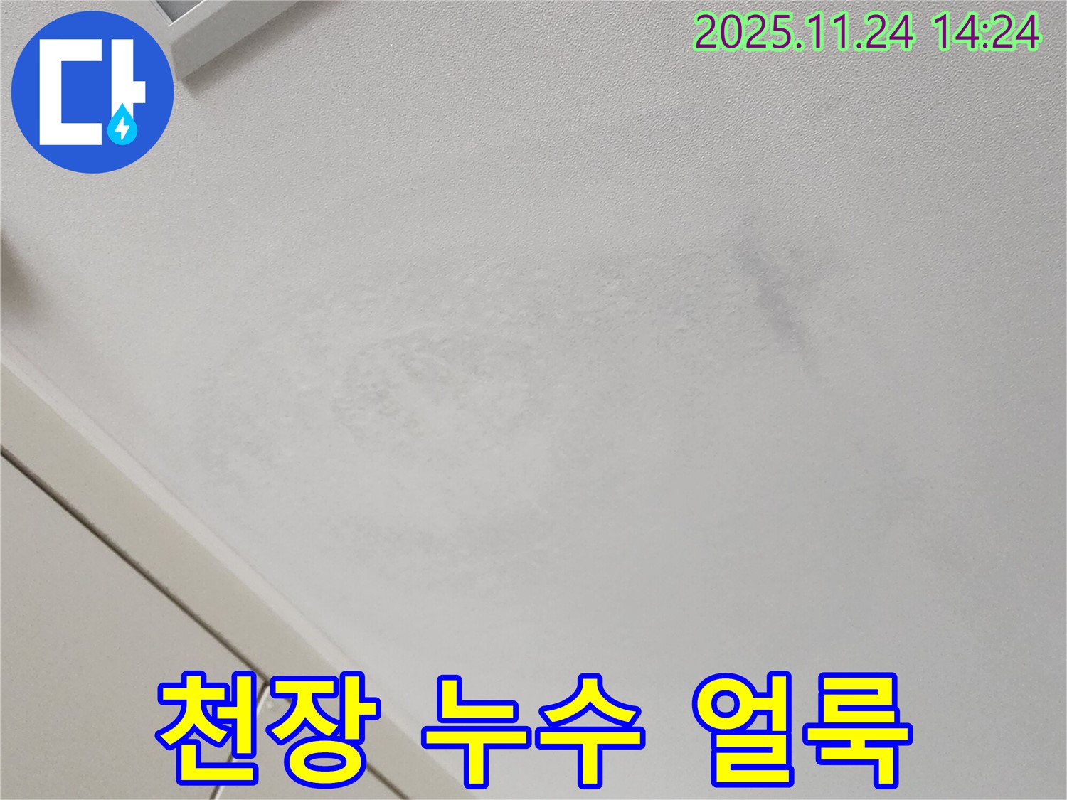천장 누수 얼룩 - 정확한 진단 필수