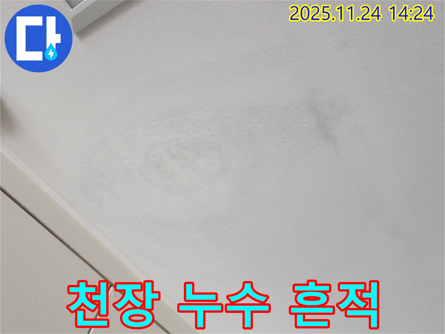 천장 누수 흔적 - 빠른 조치 필요