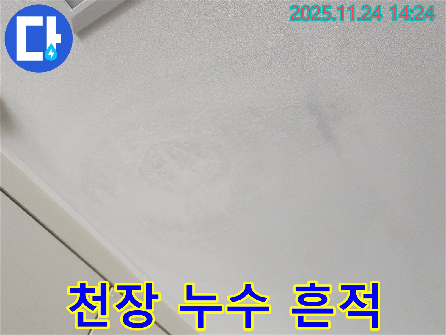 천장 누수 흔적 - 전문 장비 필요