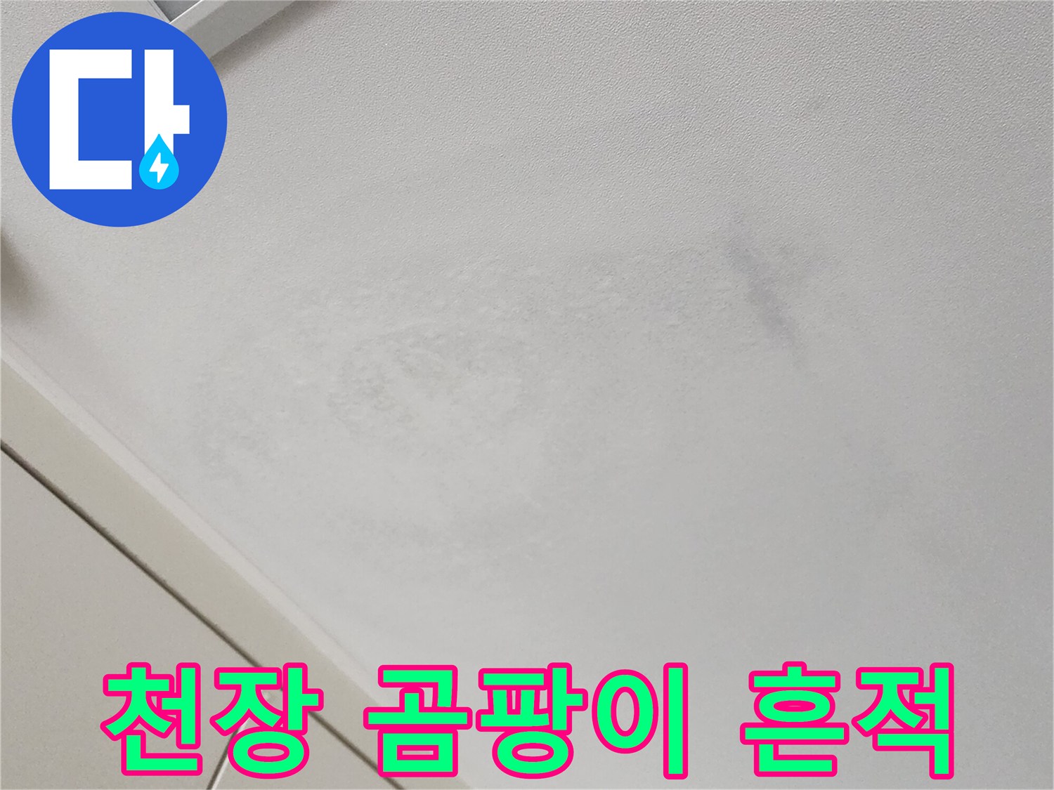 천장 벽면의 곰팡이 및 습기 흔적 사진