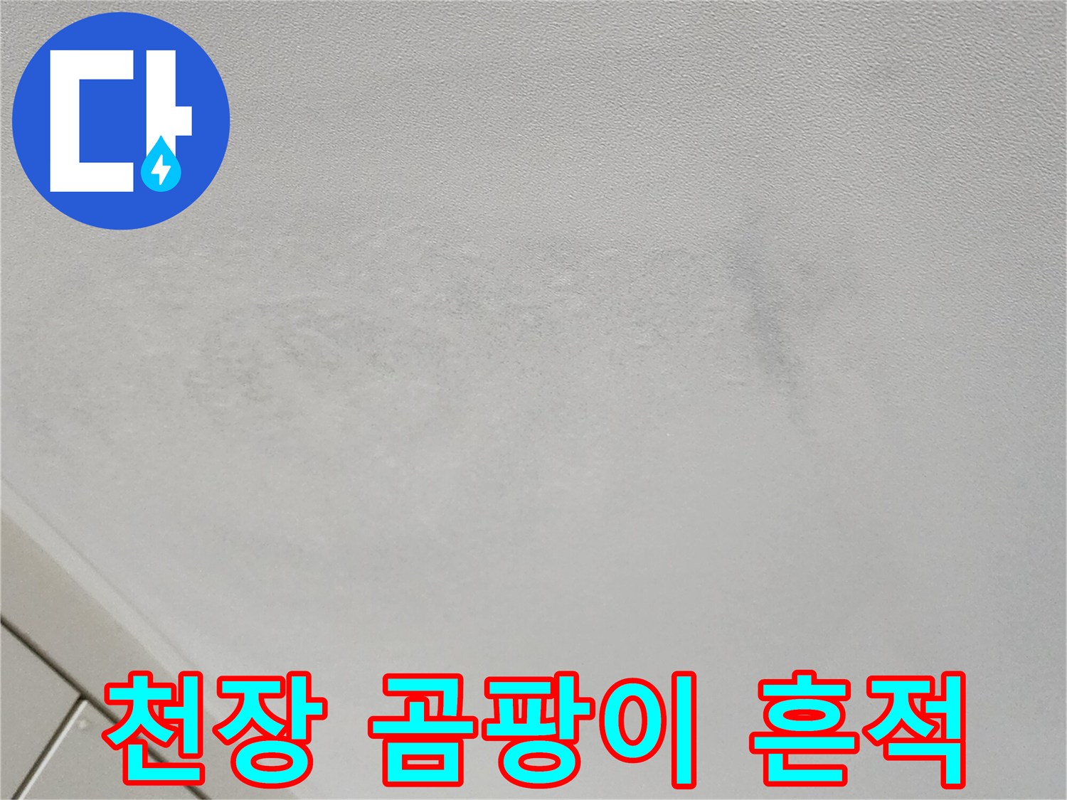 천장-부위의-광범위한-오염-상태