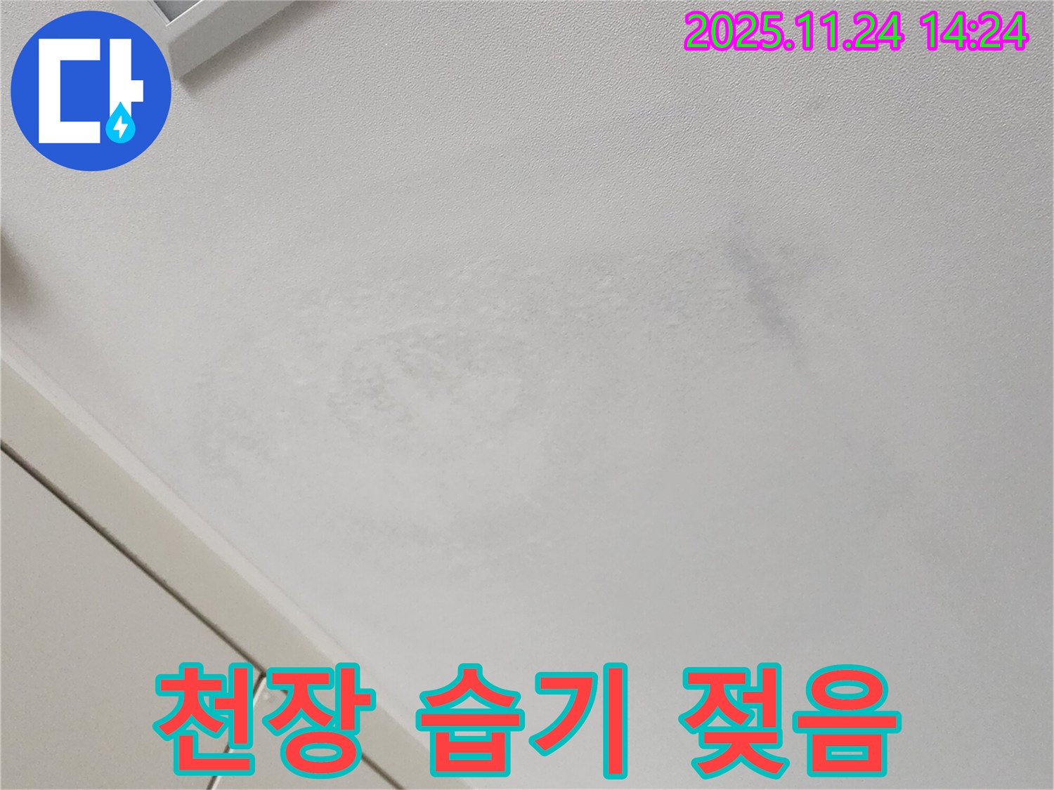 천장 습기 - 곰팡이 발생 가능성