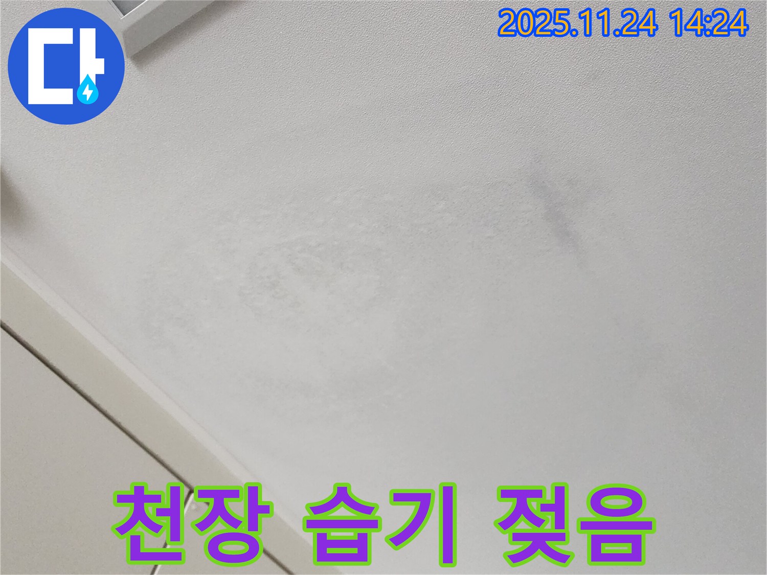 천장 습기 - 곰팡이 발생 위험