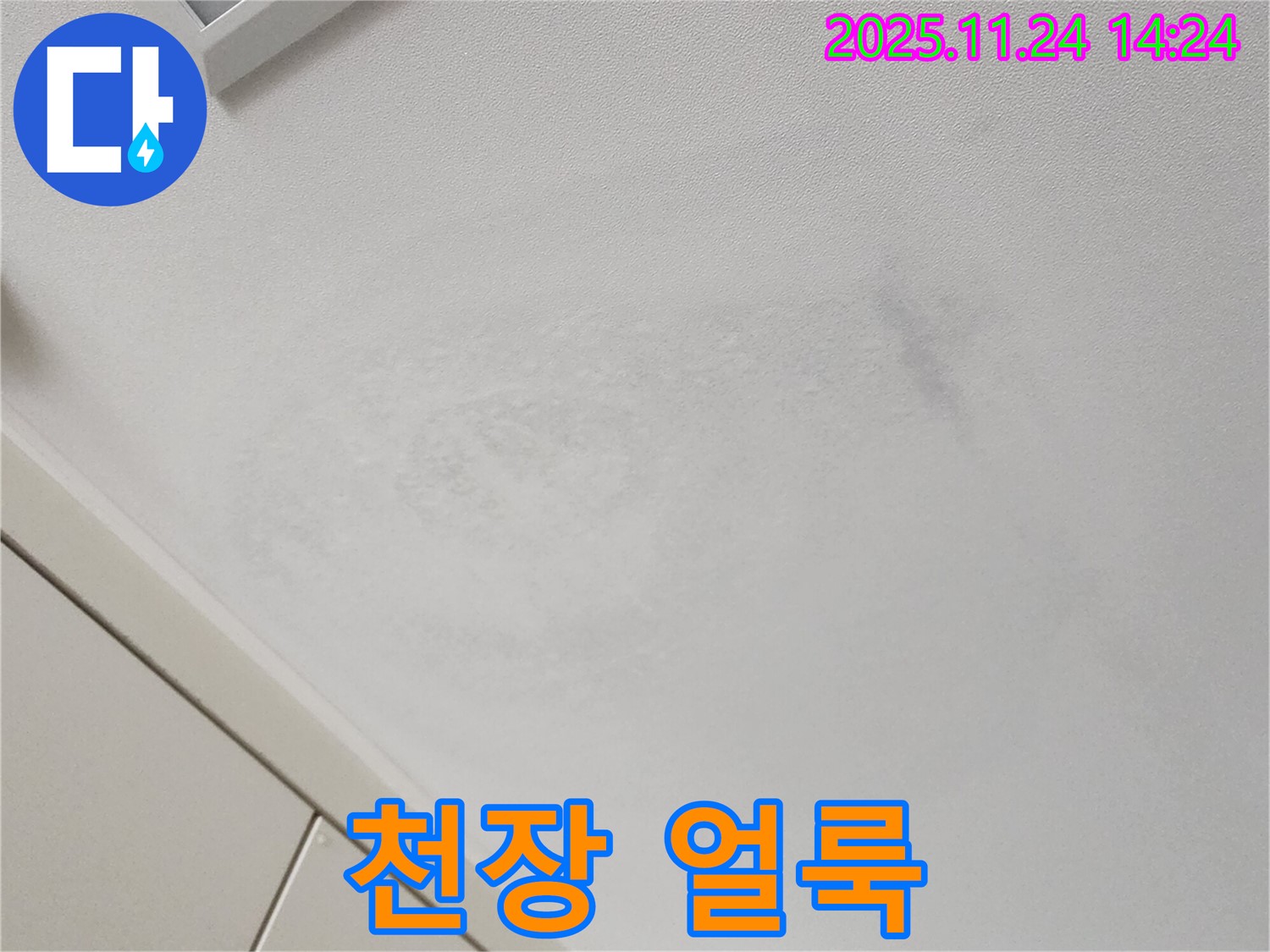 천장 얼룩 - 누수 초기 의심
