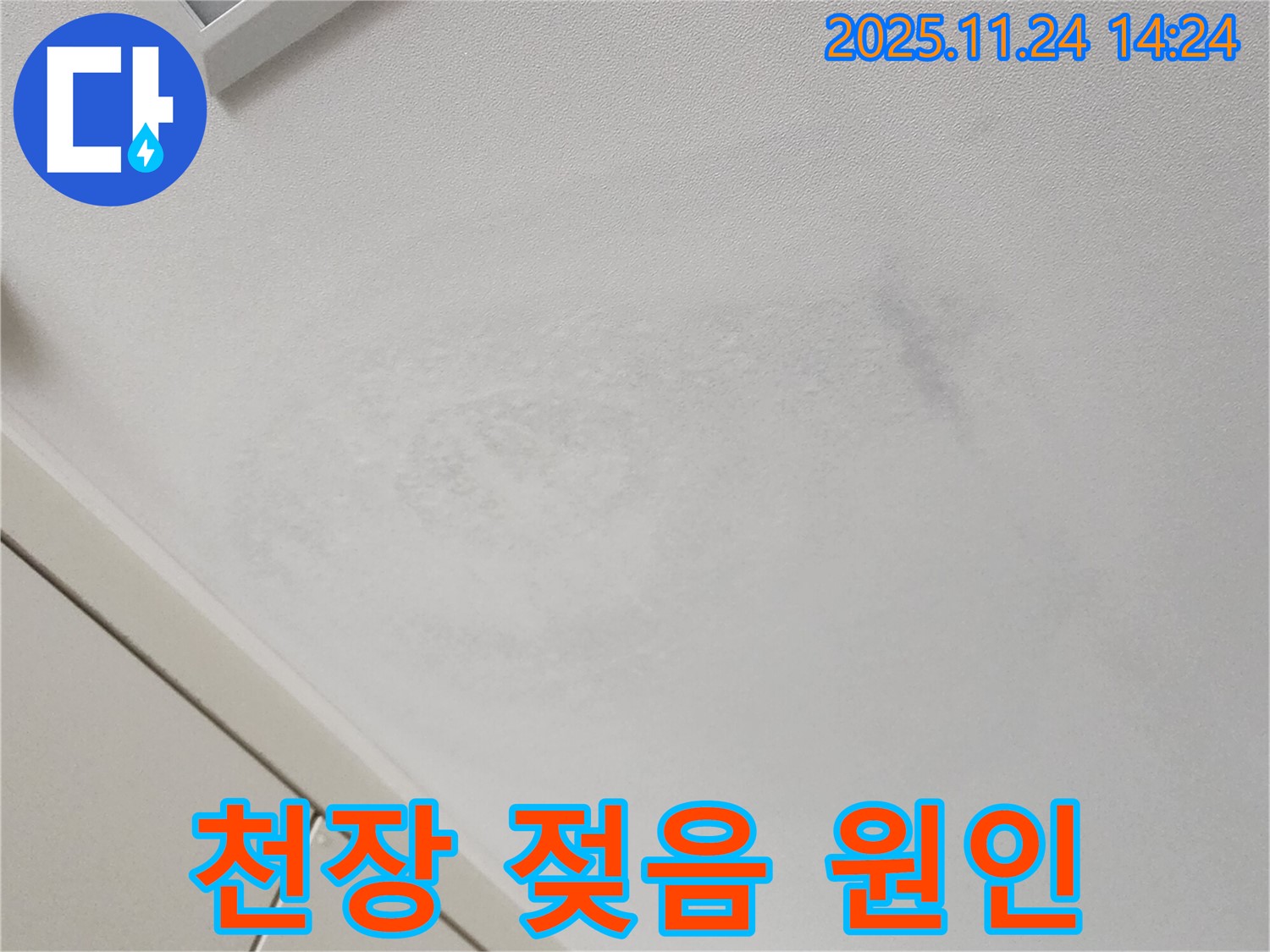 천장 젖음 - 숨겨진 누수 원인 파악