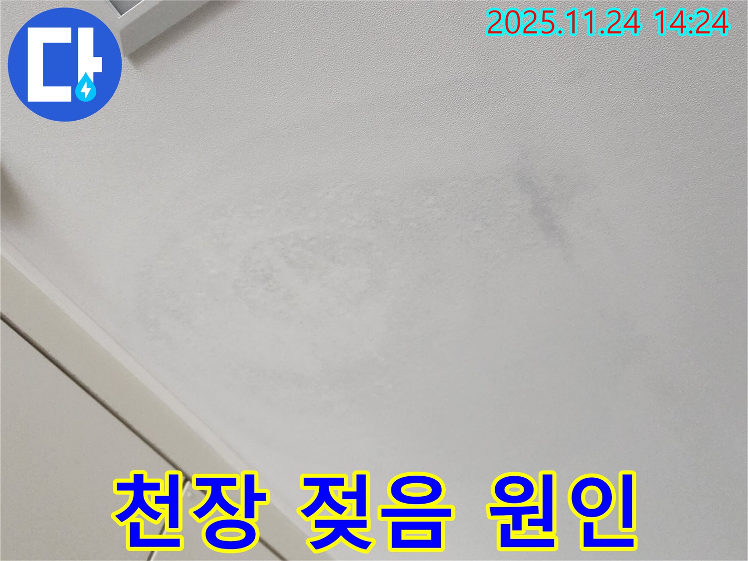 천장 젖음 - 정확한 원인 파악