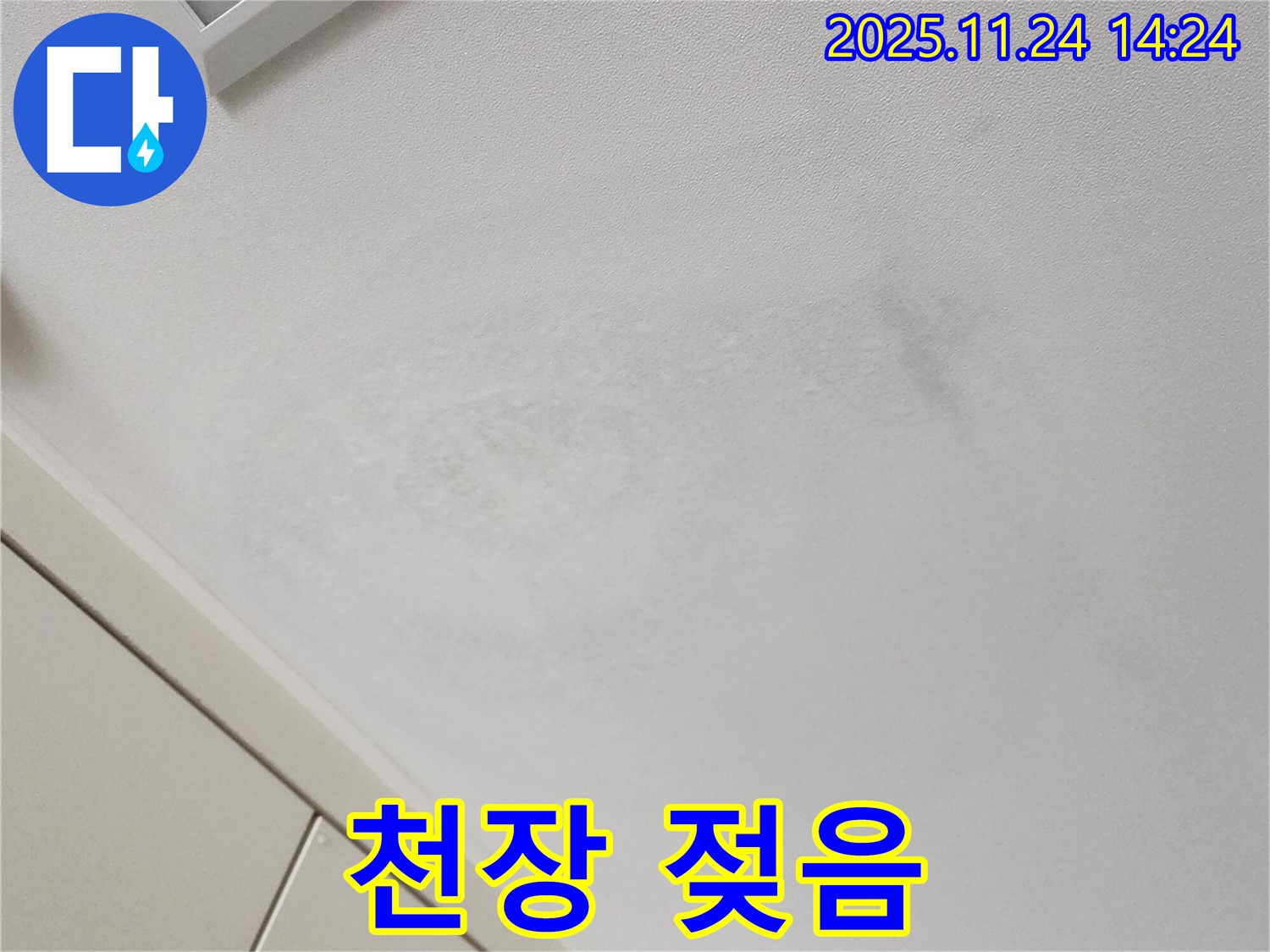 천장 젖음 - 초기 발견 시 빠른 진단