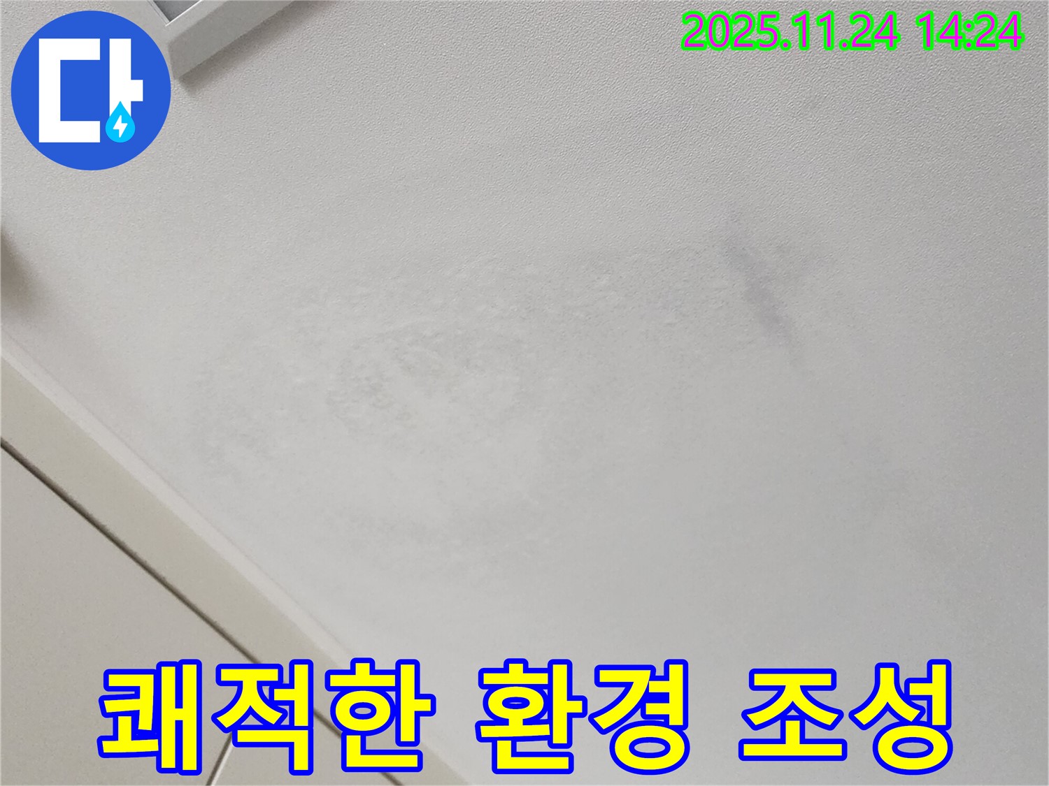 쾌적한 환경 - 곰팡이 걱정 끝