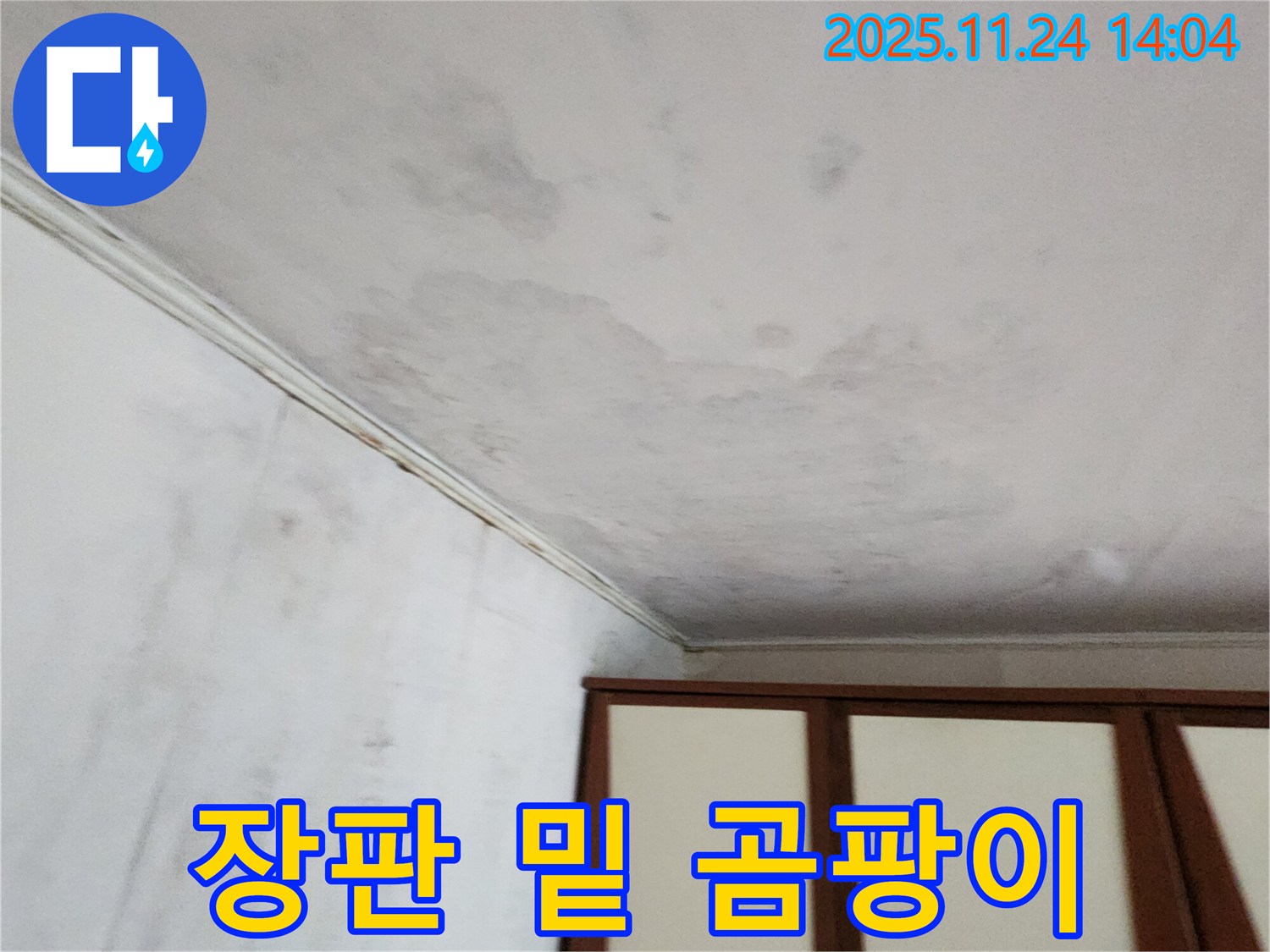 포천 가산면 누수 - 장판 밑 곰팡이, 숨은 누수 주의