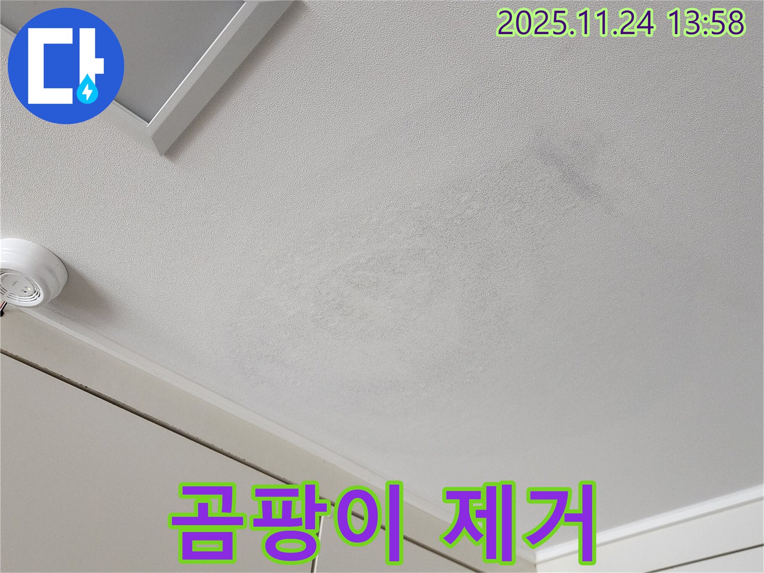 포천 누수 - 곰팡이 핀 천장, 누수 해결 및 곰팡이 완벽 제거