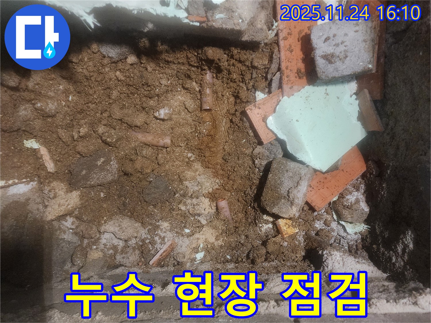가채리 누수 - 누수 현장을 꼼꼼하게 점검하는 전문가의 모습