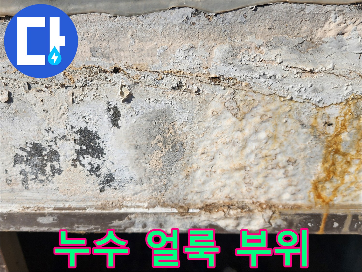 습기가-스며든-벽체-하단-부분