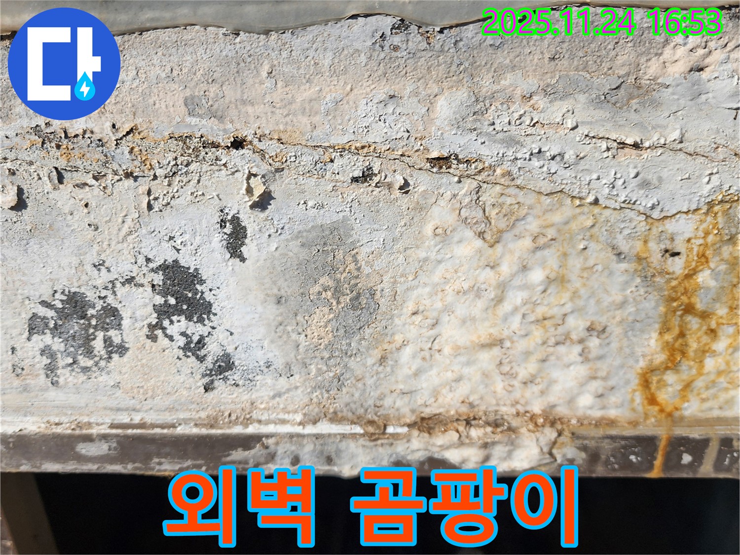 외벽 곰팡이 - 곰팡이와 습기 - 건강 위협