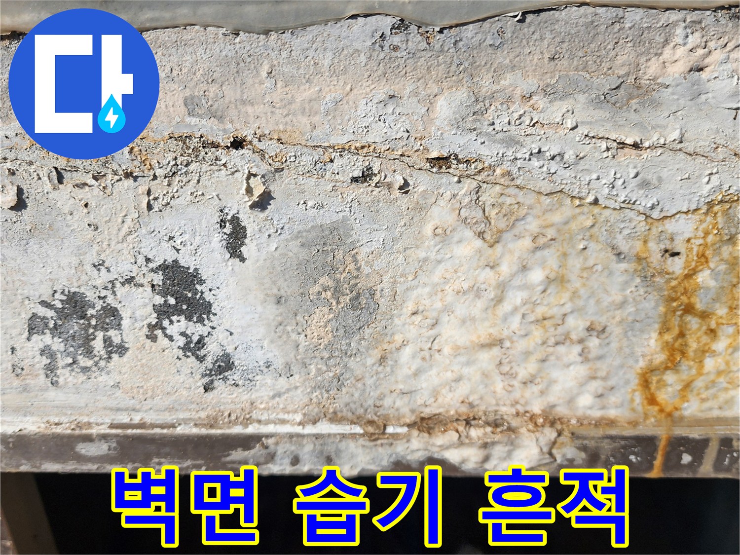 외벽 하단-습기에 의한 황색 변색
