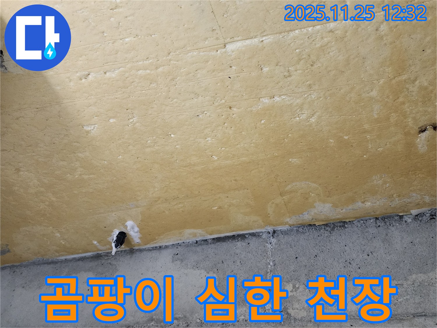 곰팡이 심한 천장 - 누수 - 건강 위협