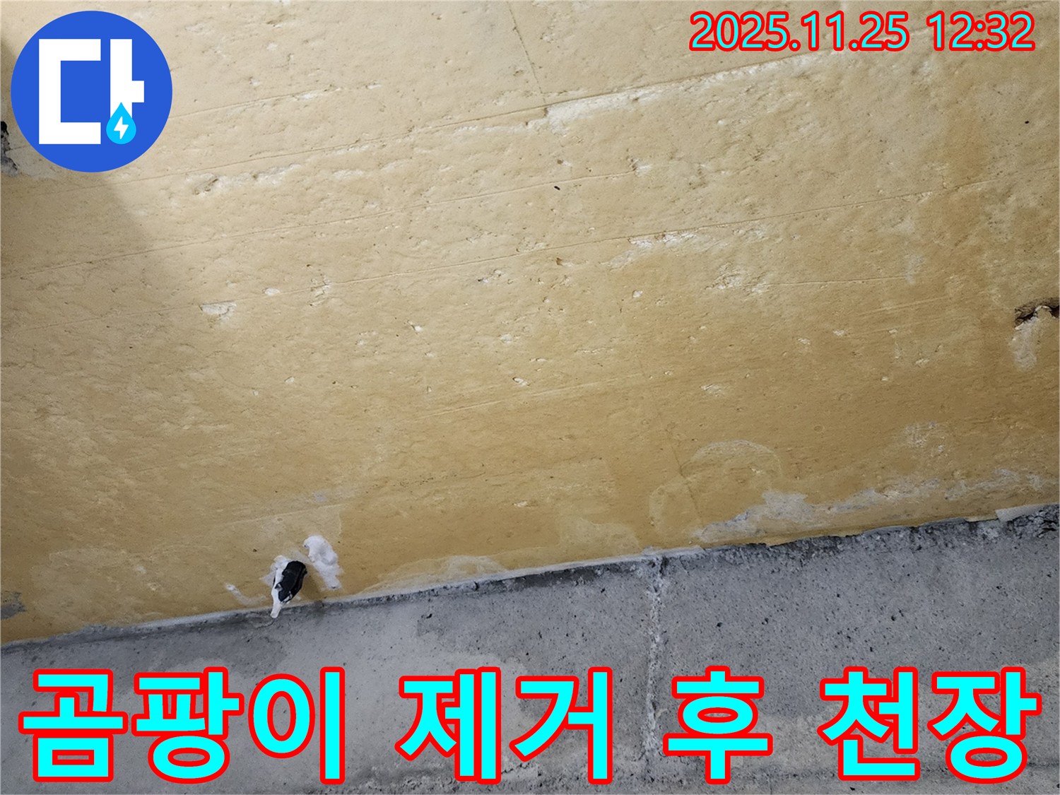 곰팡이 제거 - 깨끗한 천장 - 쾌적한 환경