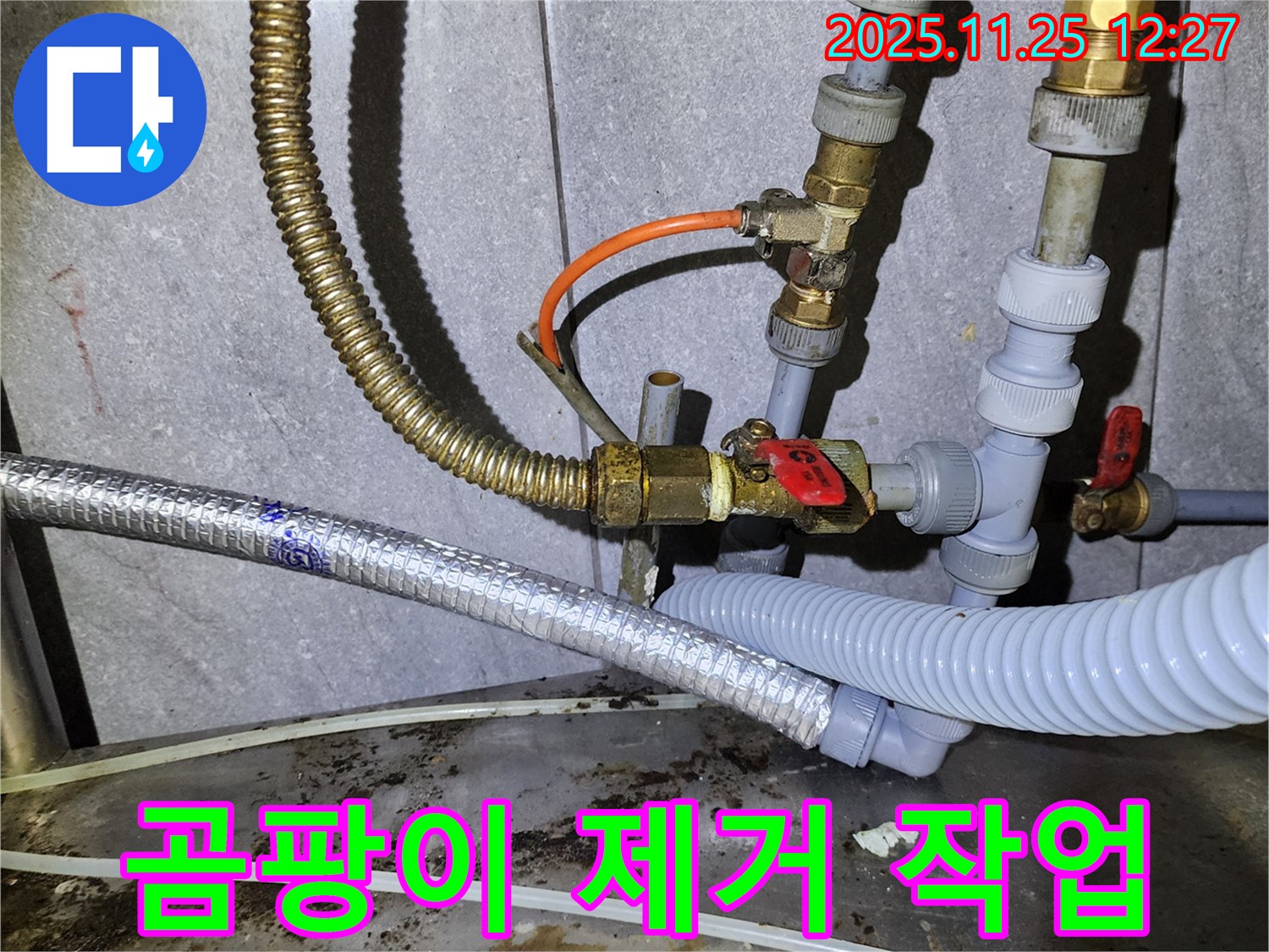 누수로 인한 곰팡이 제거 - 깨끗하고 쾌적한 공간으로!