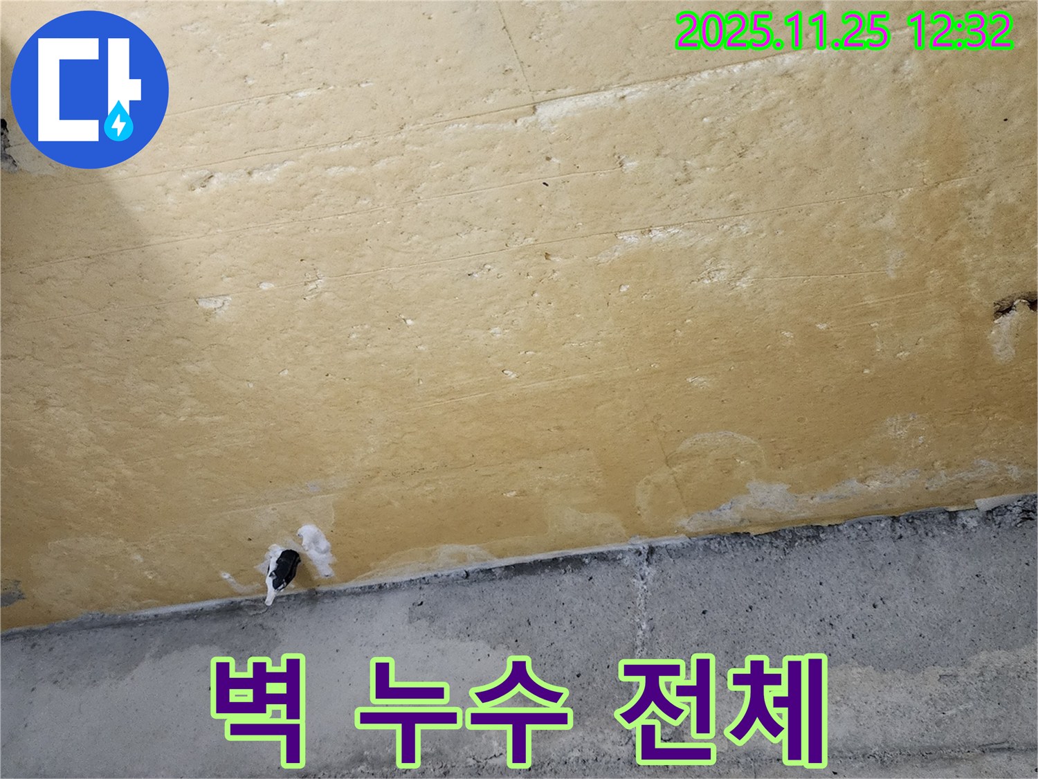 벽 - 누수 전체 - 심각한 습기