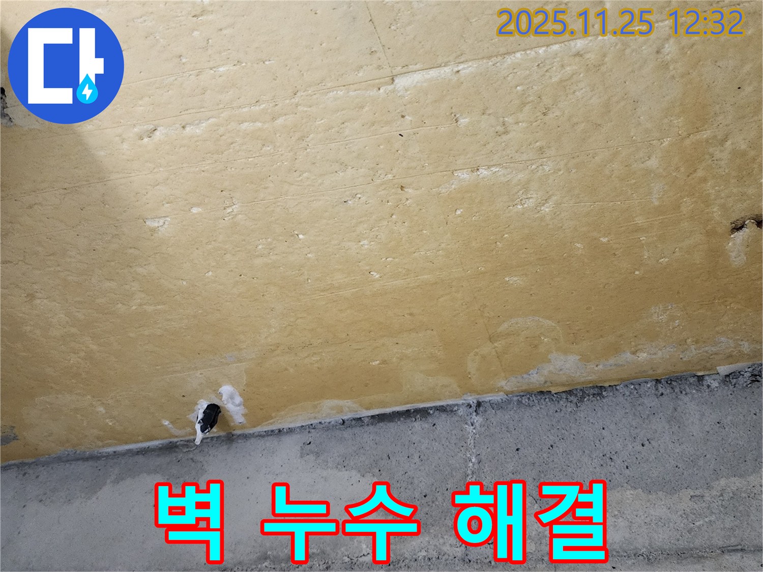 벽 누수 해결 - 완벽 시공 - 안심
