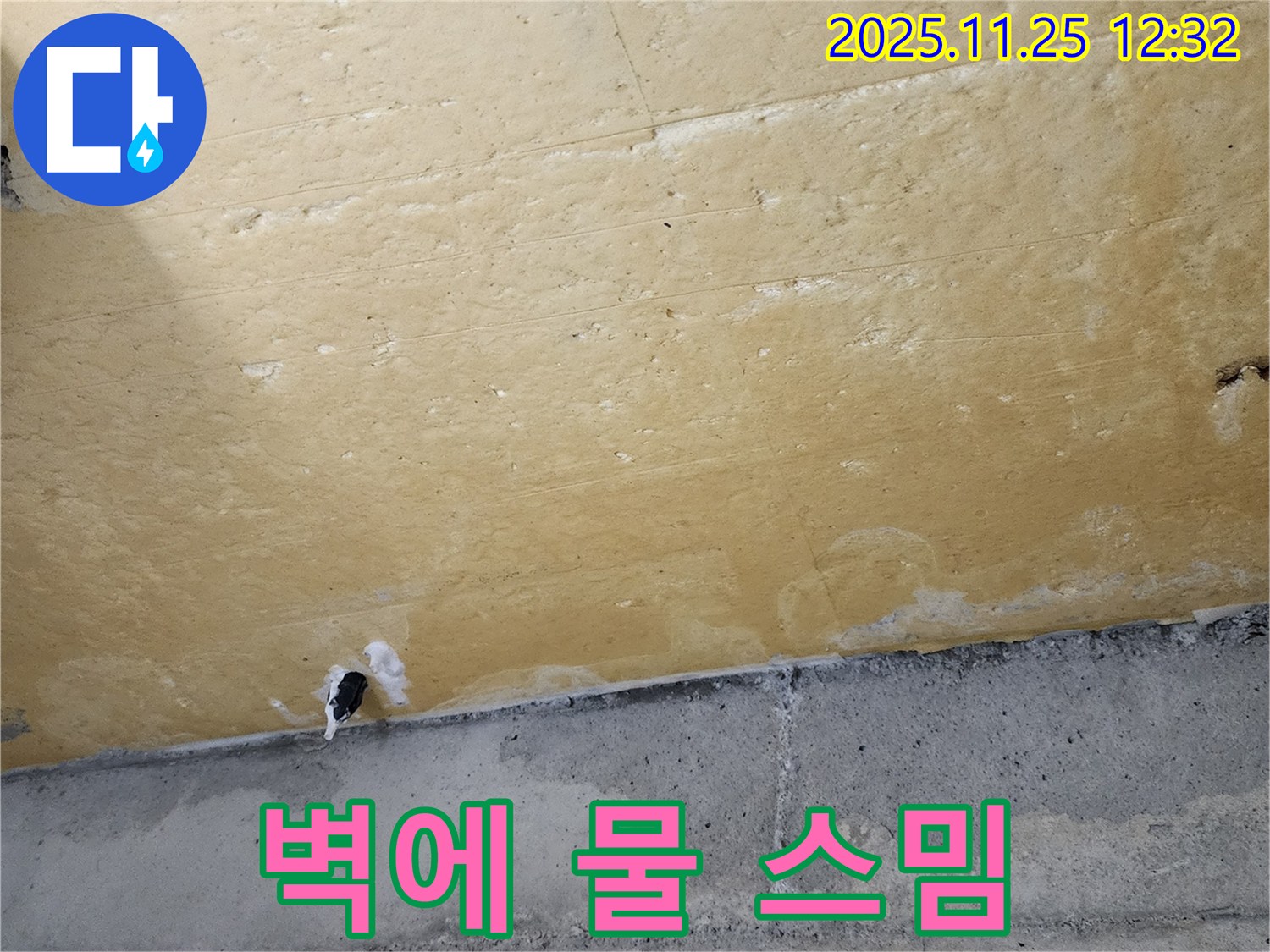벽에 물 스밈 - 누수 - 건물 손상